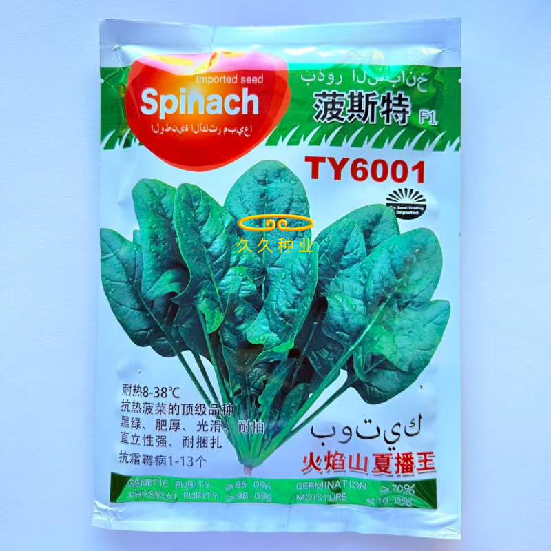 菠斯特火焰山夏播王菠菜种子高产抗病耐热菠菜种籽夏季耐热