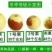 沾化冬枣