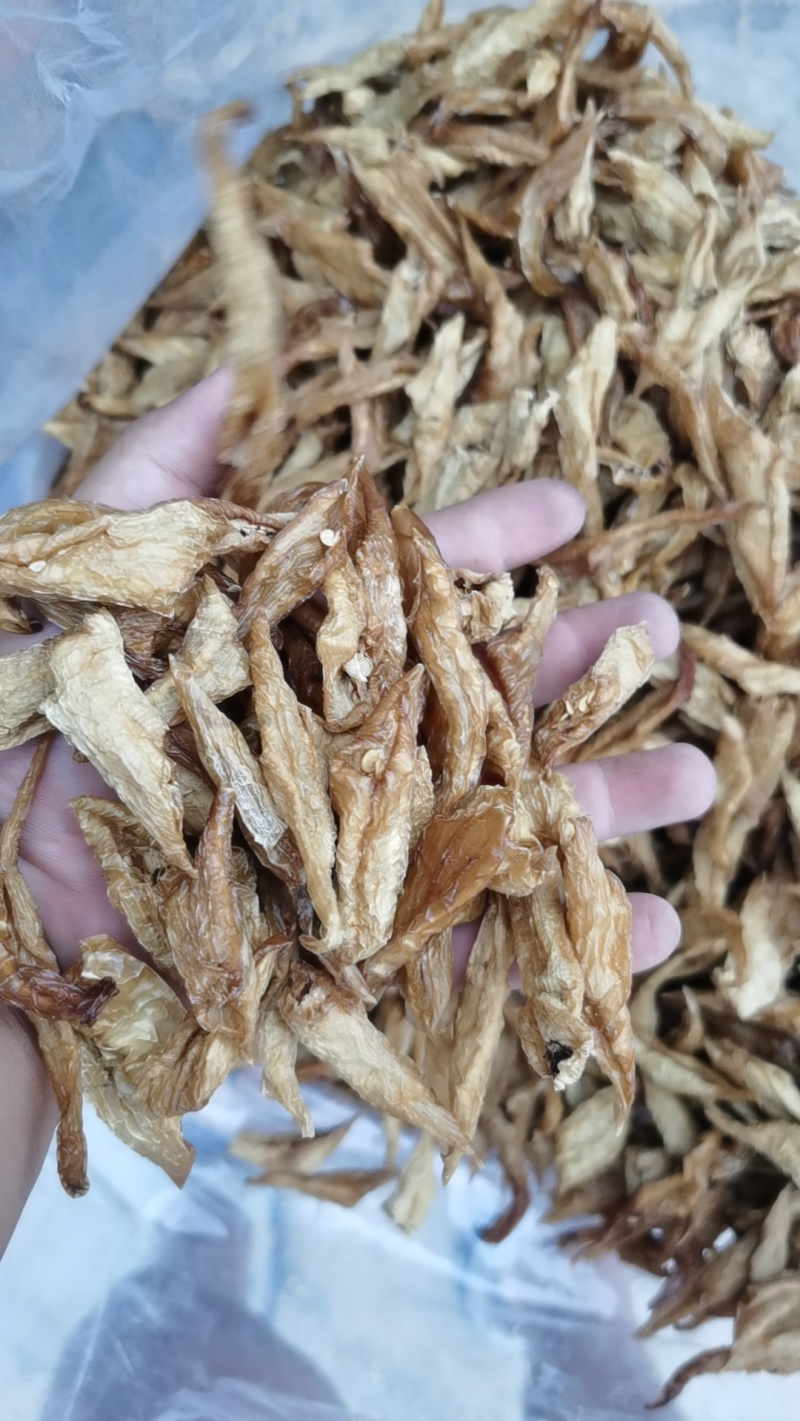 湖南特产白辣椒干2026年新货，质量杠杠的，干度非常好