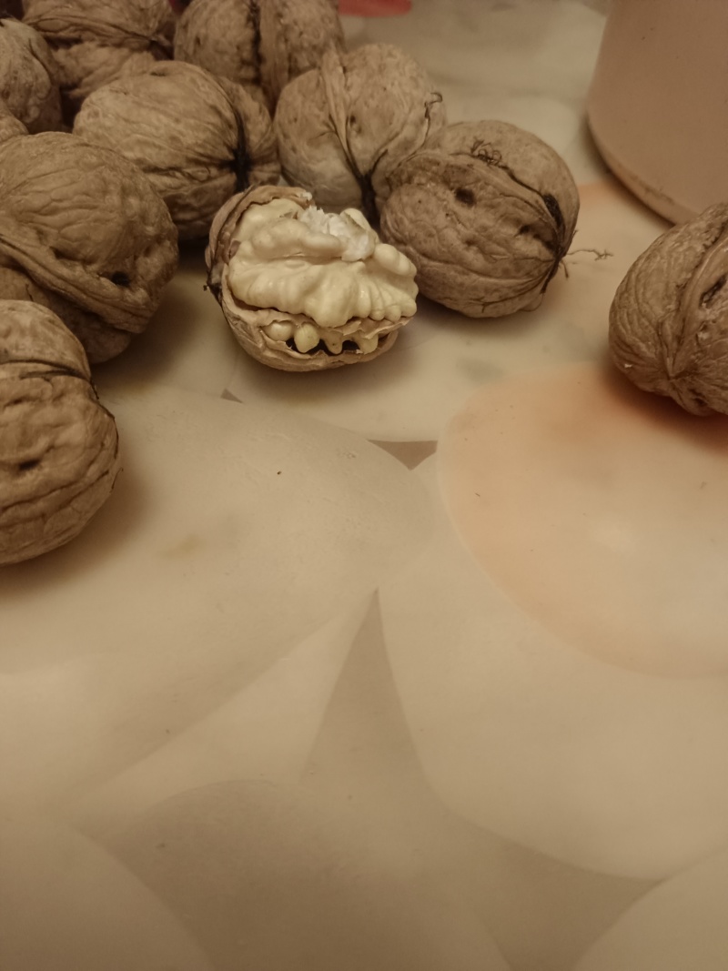 赞皇太行山鲜食核桃