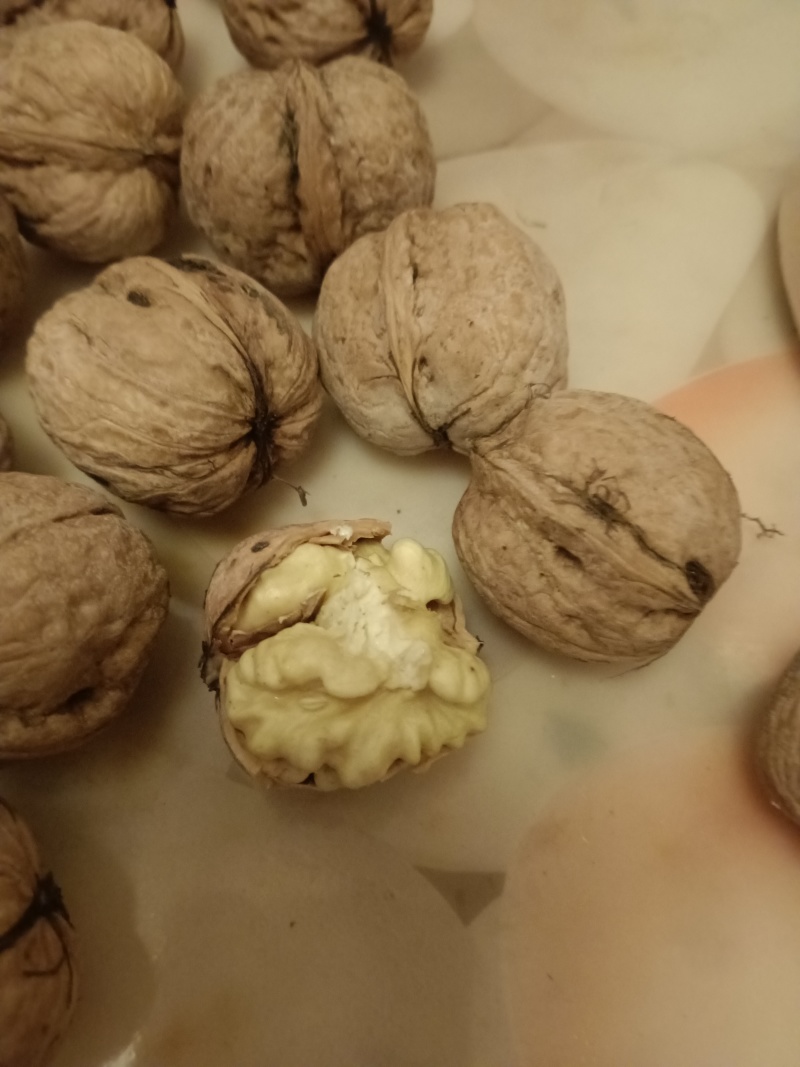赞皇太行山鲜食核桃