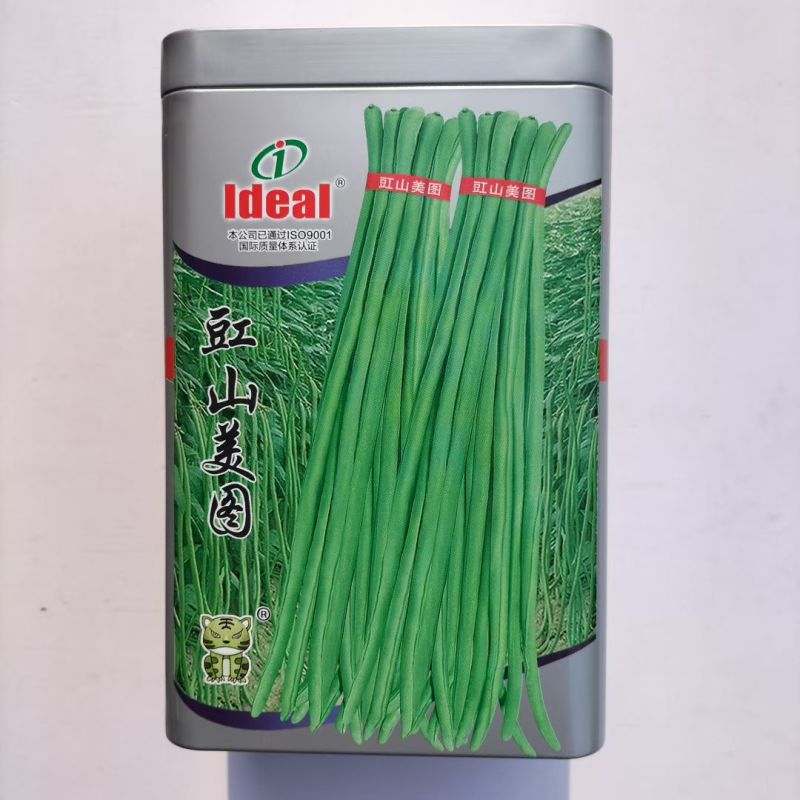 理想豇山美图原装绿条豆角种子高产抗病口感好采收期长优质品
