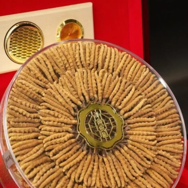 产地直发价格美丽货源充足香甜美味的虫草等你带回家