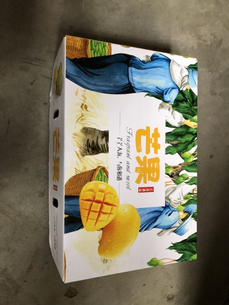 黄袋凯特