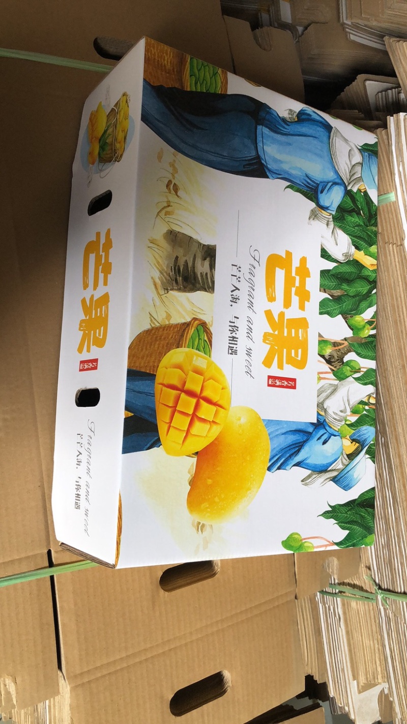黄袋凯特