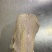『鸡架&带胸肉鸡壳』可代速冻/30斤一件/常年大量批发