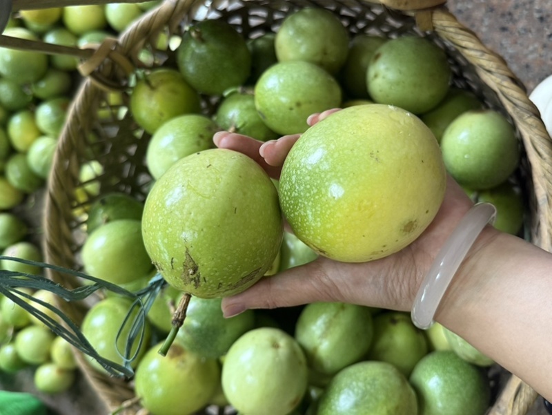 百香果