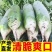 青萝卜，白萝卜