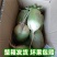 青萝卜，白萝卜