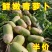 青萝卜，白萝卜