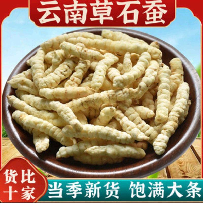 藏区高海拔山货草石蚕、白虫草，螺丝菜，宝塔菜