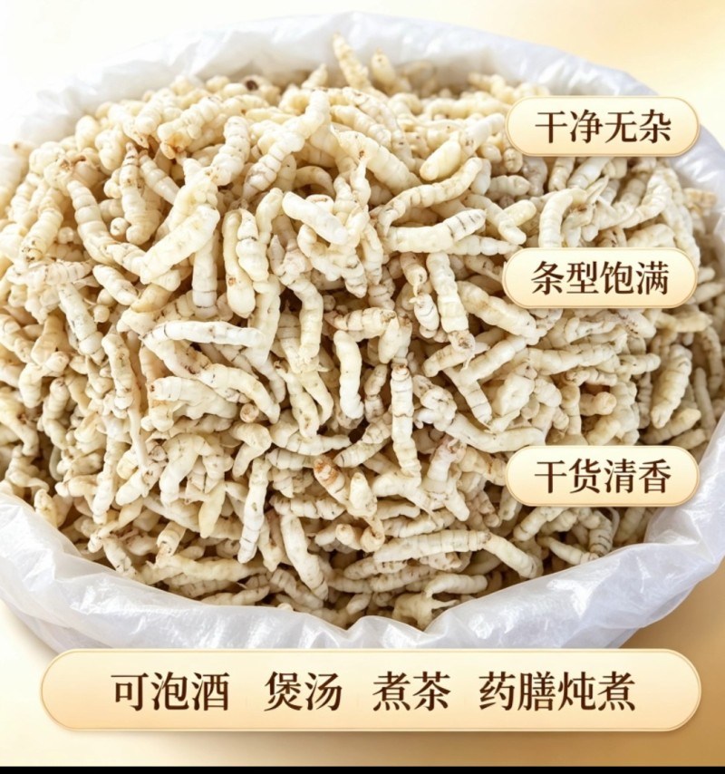 藏区高海拔山货草石蚕、白虫草，螺丝菜，宝塔菜