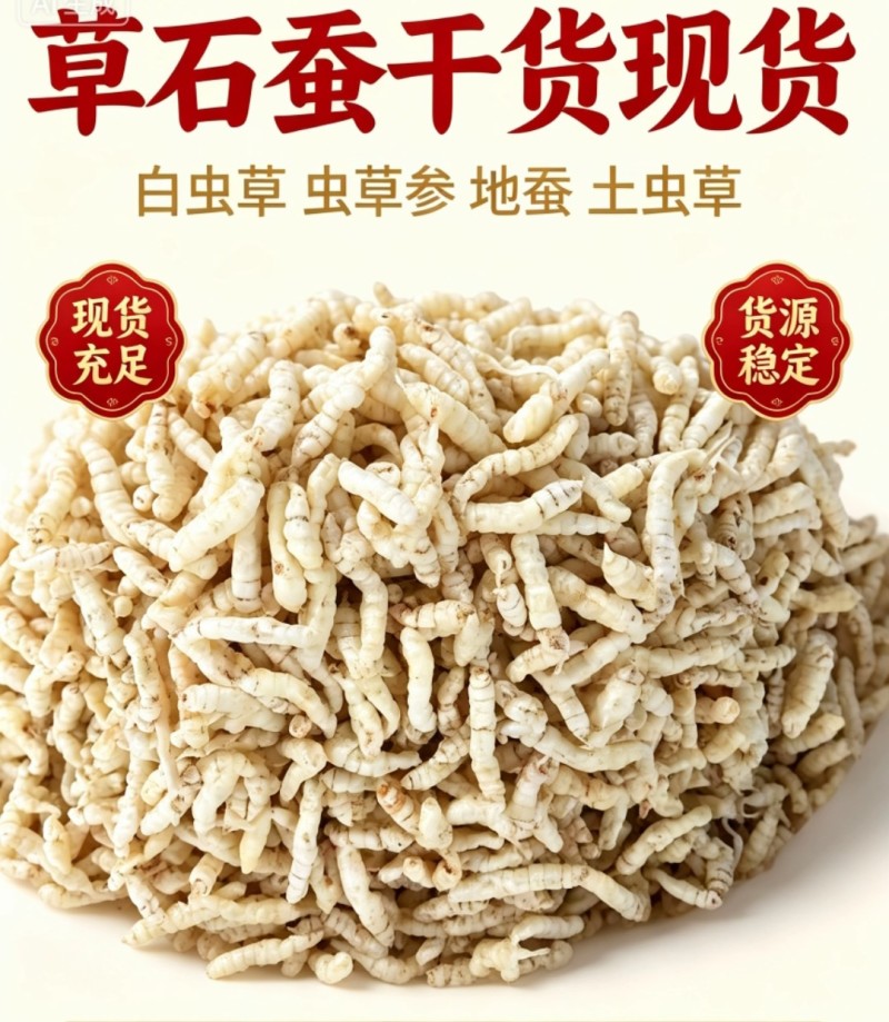 藏区高海拔山货草石蚕、白虫草，螺丝菜，宝塔菜