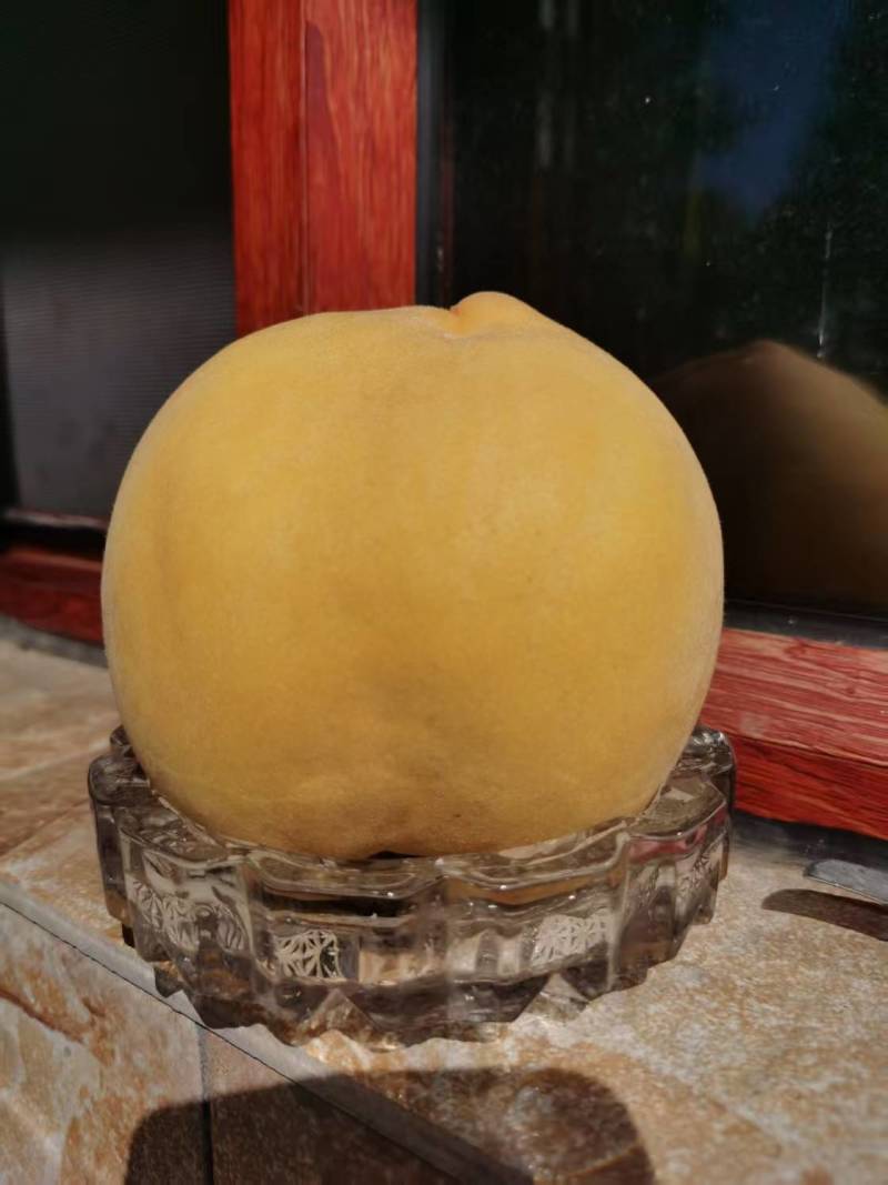 锦绣黄桃高山黄桃