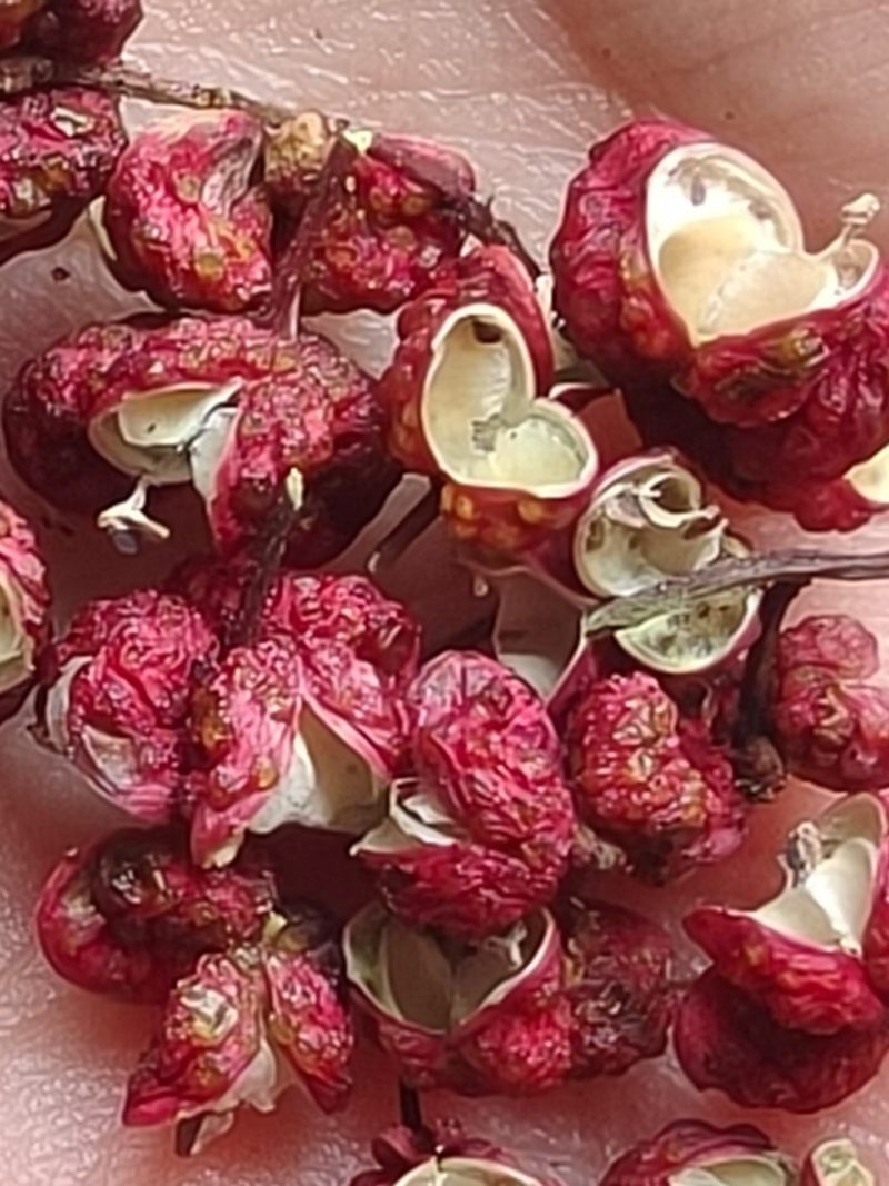 大红袍干花椒