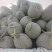 精品哈密瓜西州蜜17号大量有货质量保证