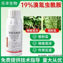 19%溴氰虫酰胺辣椒(苗床)烟粉虱杀虫剂胃毒触杀内吸杀虫