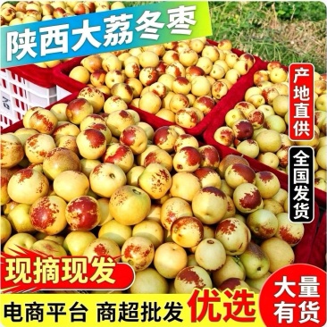 『大荔冬枣』陕西冬枣/产地现摘/对接电商~商超~供应链