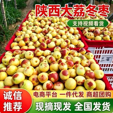 陕西大荔冬枣&陕西冬枣/产区直发/对接电商平台~商超批发