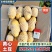 【黄心土豆&荷兰十五土豆】山东新土豆/规格齐全/全国发货