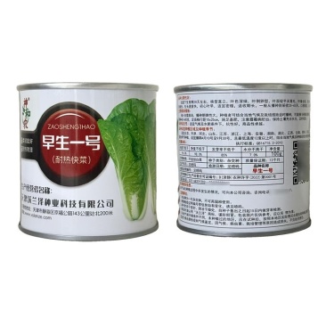 早生一号耐热快菜种子不烧心不黄边柔韧性好耐雨水青帮青叶快
