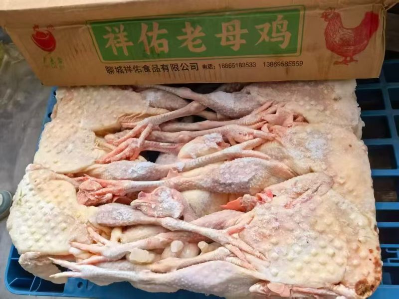 一级老母鸡11公斤箱装的