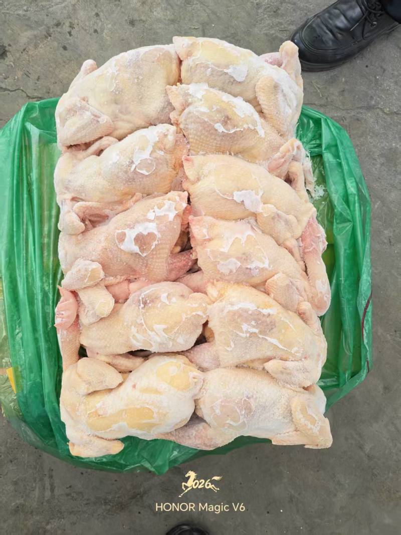 一级老母鸡11公斤箱装的