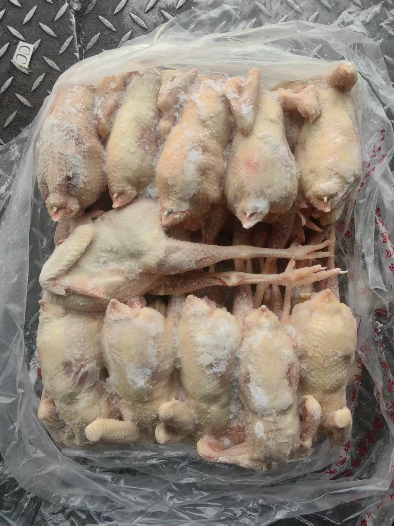 一级老母鸡11公斤箱装的
