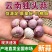 独头蒜产地批发（坏烂包赔全国发货）现货供应/量大从优
