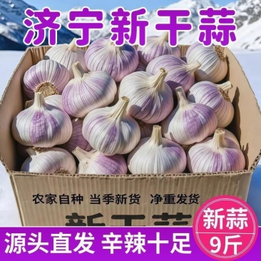 紫皮大蒜头9斤彩箱囤货装新干蒜批发划算整箱