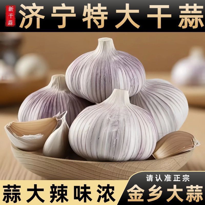 紫皮大蒜头9斤彩箱囤货装新干蒜批发划算整箱