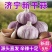 紫皮大蒜头9斤彩箱囤货装新干蒜批发划算整箱