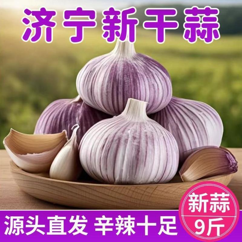 紫皮大蒜头9斤彩箱囤货装新干蒜批发划算整箱