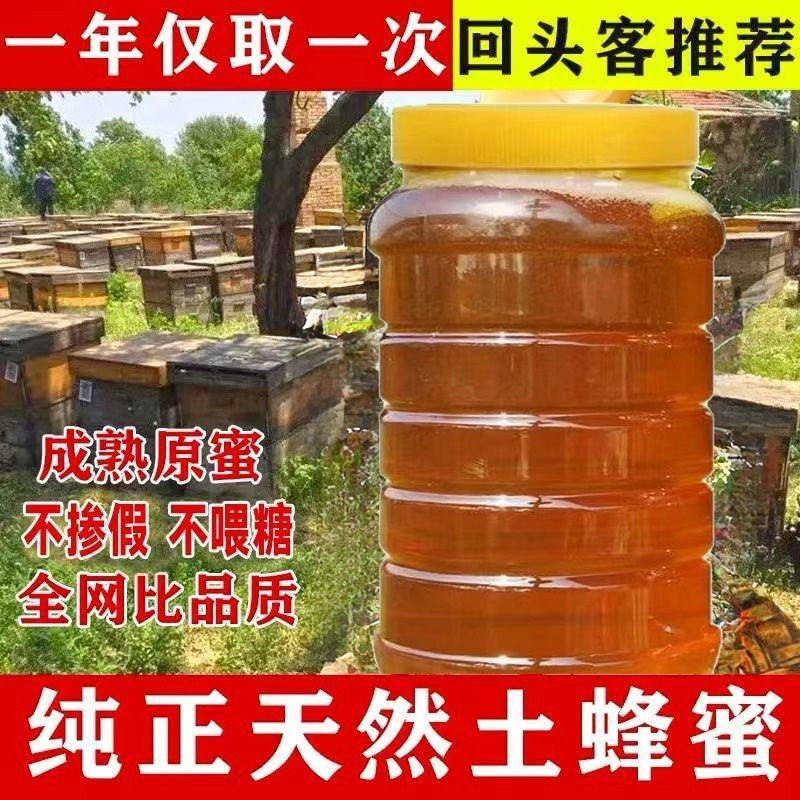 蜂蜜土蜂蜜大桶新鲜品质保证农家百花蜜浓缩***蜂蜜便