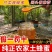 蜂蜜土蜂蜜大桶新鲜品质保证农家百花蜜浓缩***蜂蜜便
