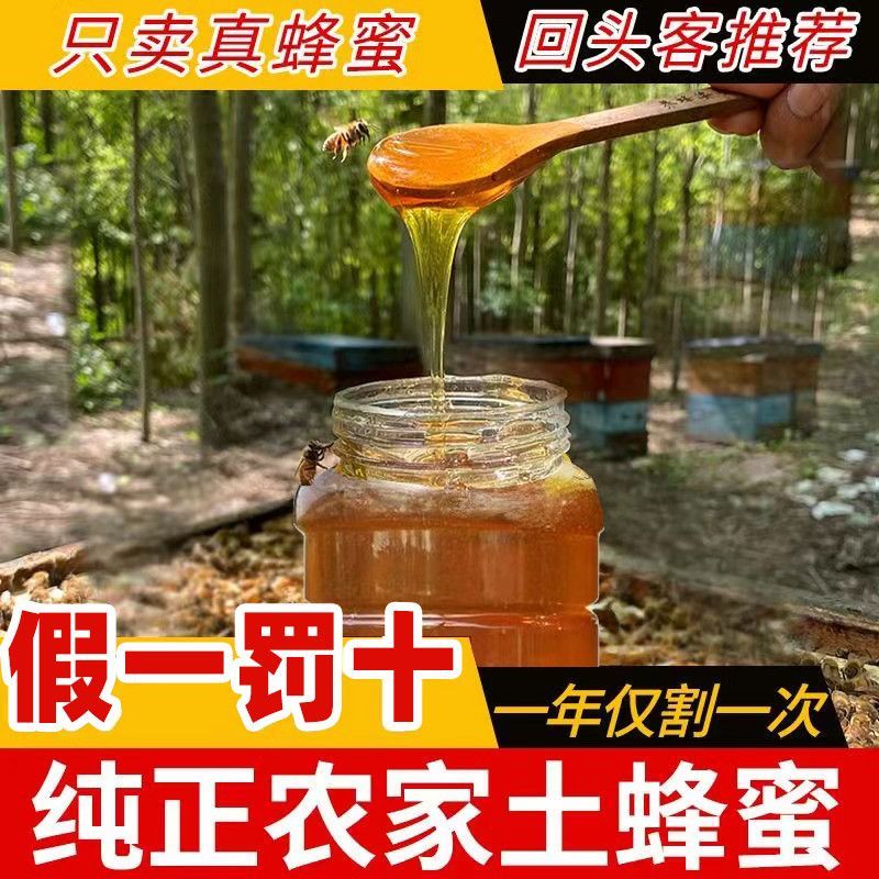 蜂蜜土蜂蜜大桶新鲜品质保证农家百花蜜浓缩***蜂蜜便