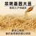 东北黄豆新鲜大豆非转基因大豆子豆浆原料