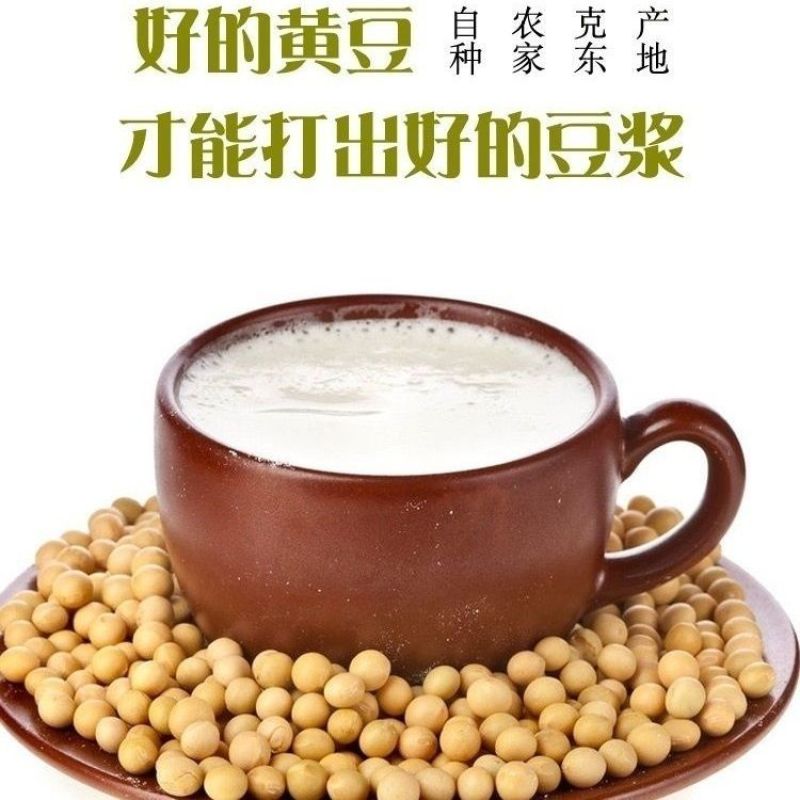 东北黄豆新鲜大豆非转基因大豆子豆浆原料