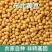 东北黄豆新鲜大豆非转基因大豆子豆浆原料