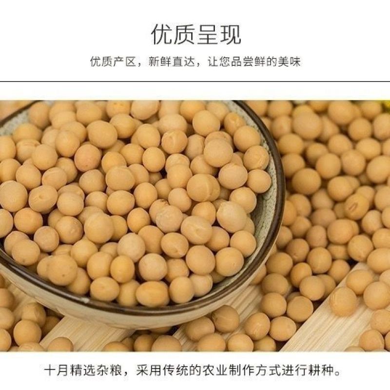 东北黄豆新鲜大豆非转基因大豆子豆浆原料