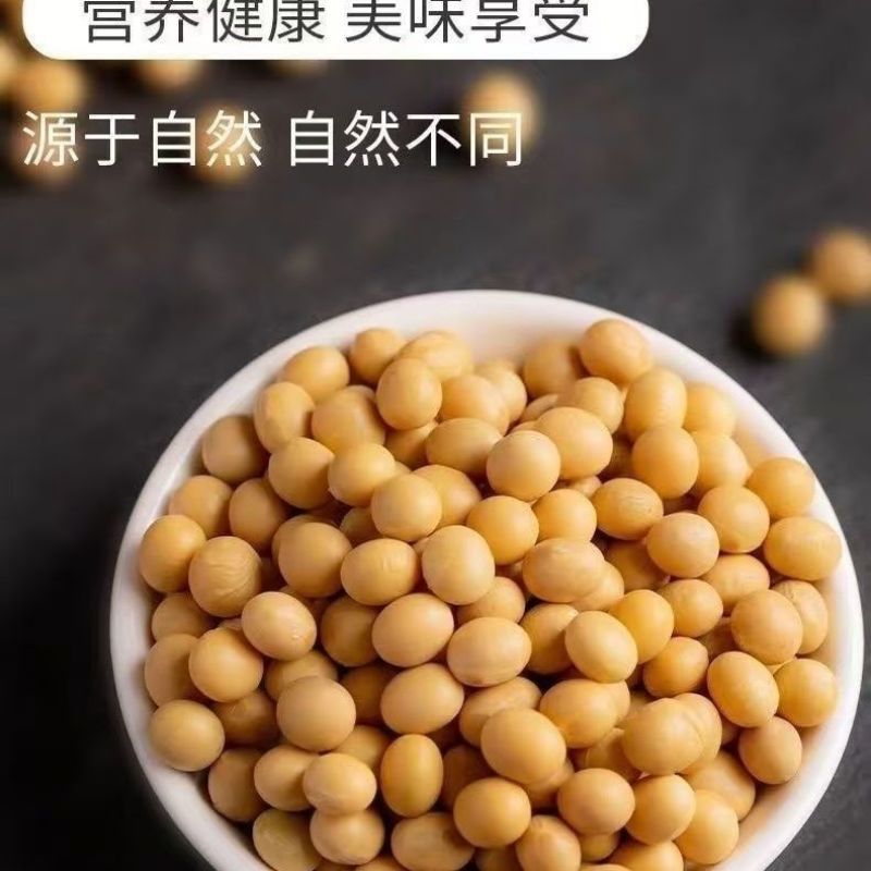 东北黄豆新鲜大豆非转基因大豆子豆浆原料