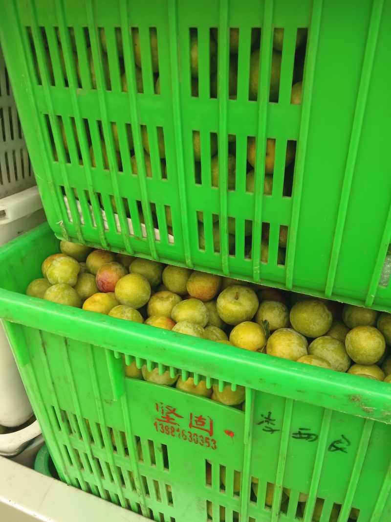 半边红