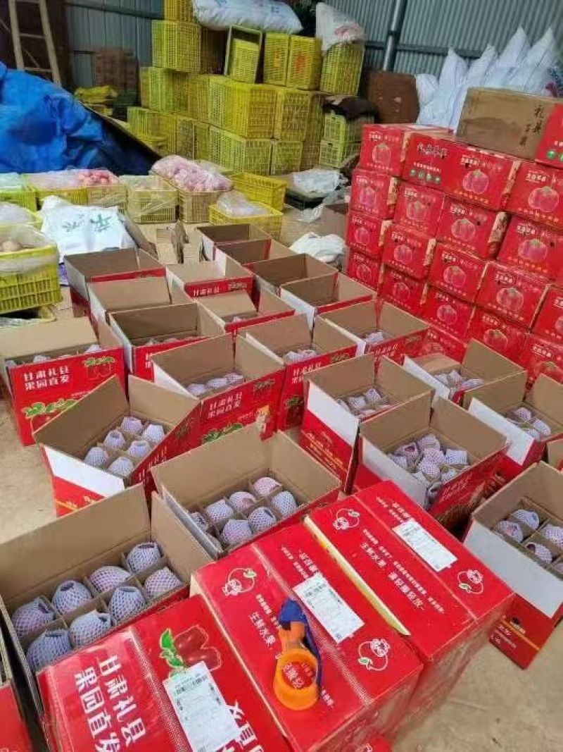 花牛苹果，高山红富士苹果，甘肃礼县大量供应，欢迎产地考察