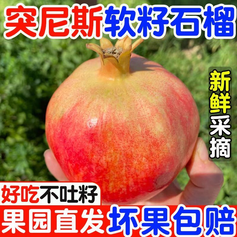 会理软籽石榴产地直供大量有货对接超市电商批发市场全国发货