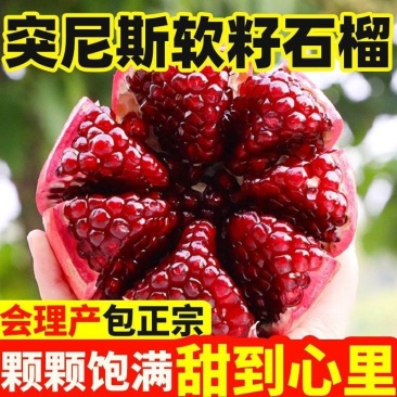 会理软籽石榴产地直供大量有货对接超市电商批发市场全国发货