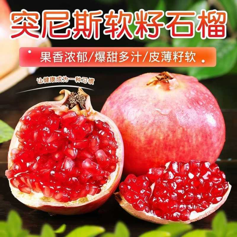 四川石榴/软籽石榴/突尼斯软籽石榴/基地供货一手货源