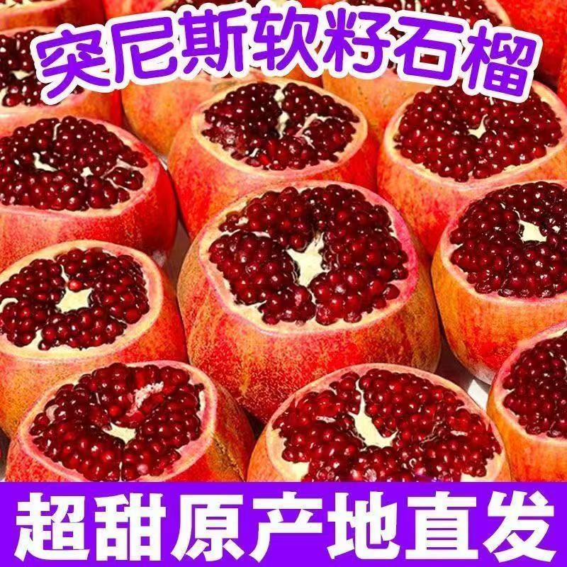四川石榴/软籽石榴/突尼斯软籽石榴/基地供货一手货源