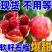 四川石榴/软籽石榴/突尼斯软籽石榴/基地供货一手货源