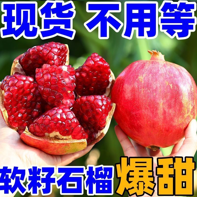 四川石榴/软籽石榴/突尼斯软籽石榴/基地供货一手货源