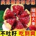 四川石榴/软籽石榴/突尼斯软籽石榴/基地供货一手货源